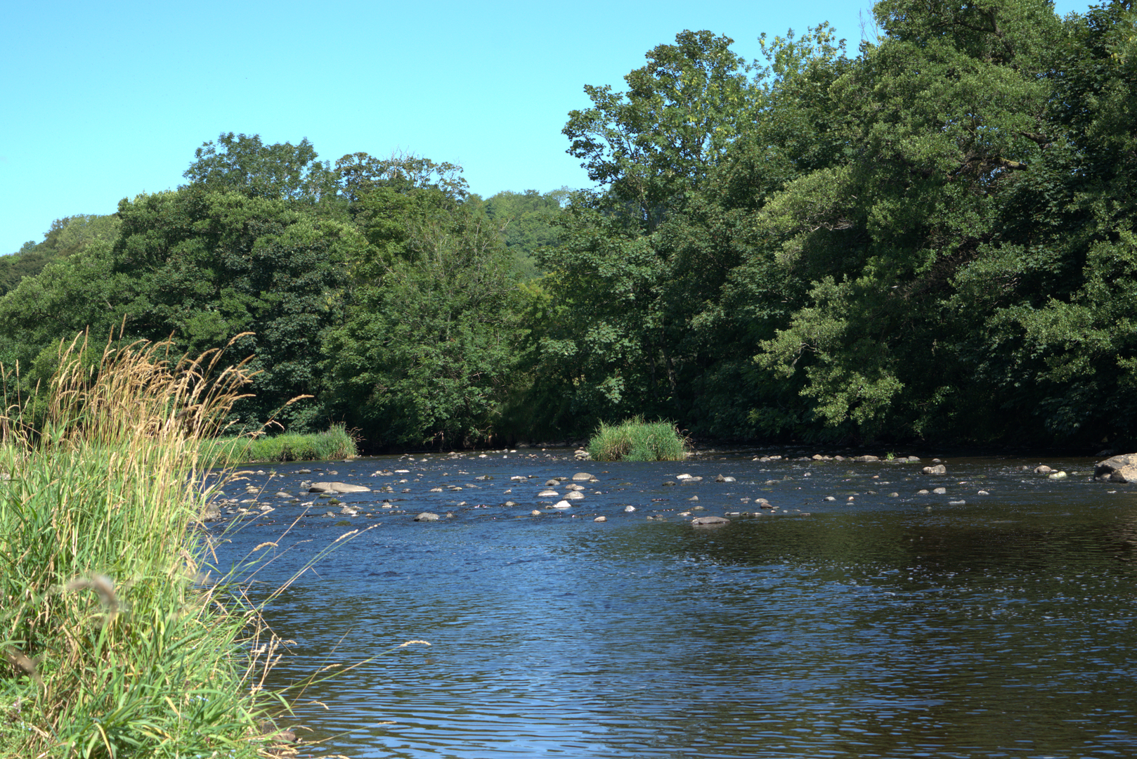 An image depicting the trail River Ayr Way and its surrounding area.