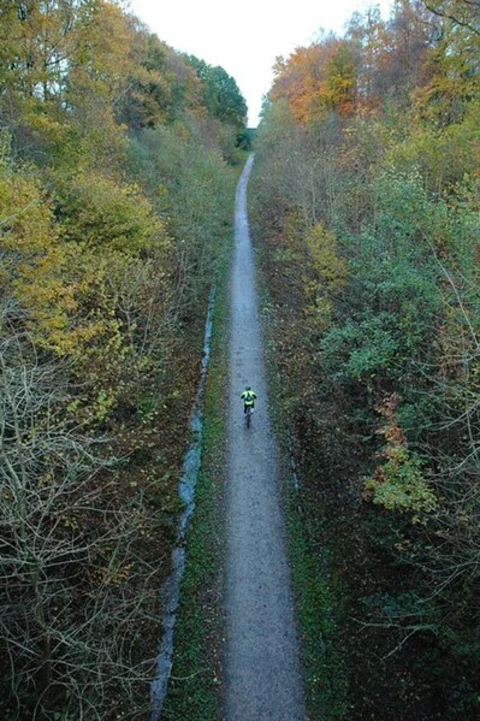 Millennium Urban Forest and Ellowes Hall Wood Loop