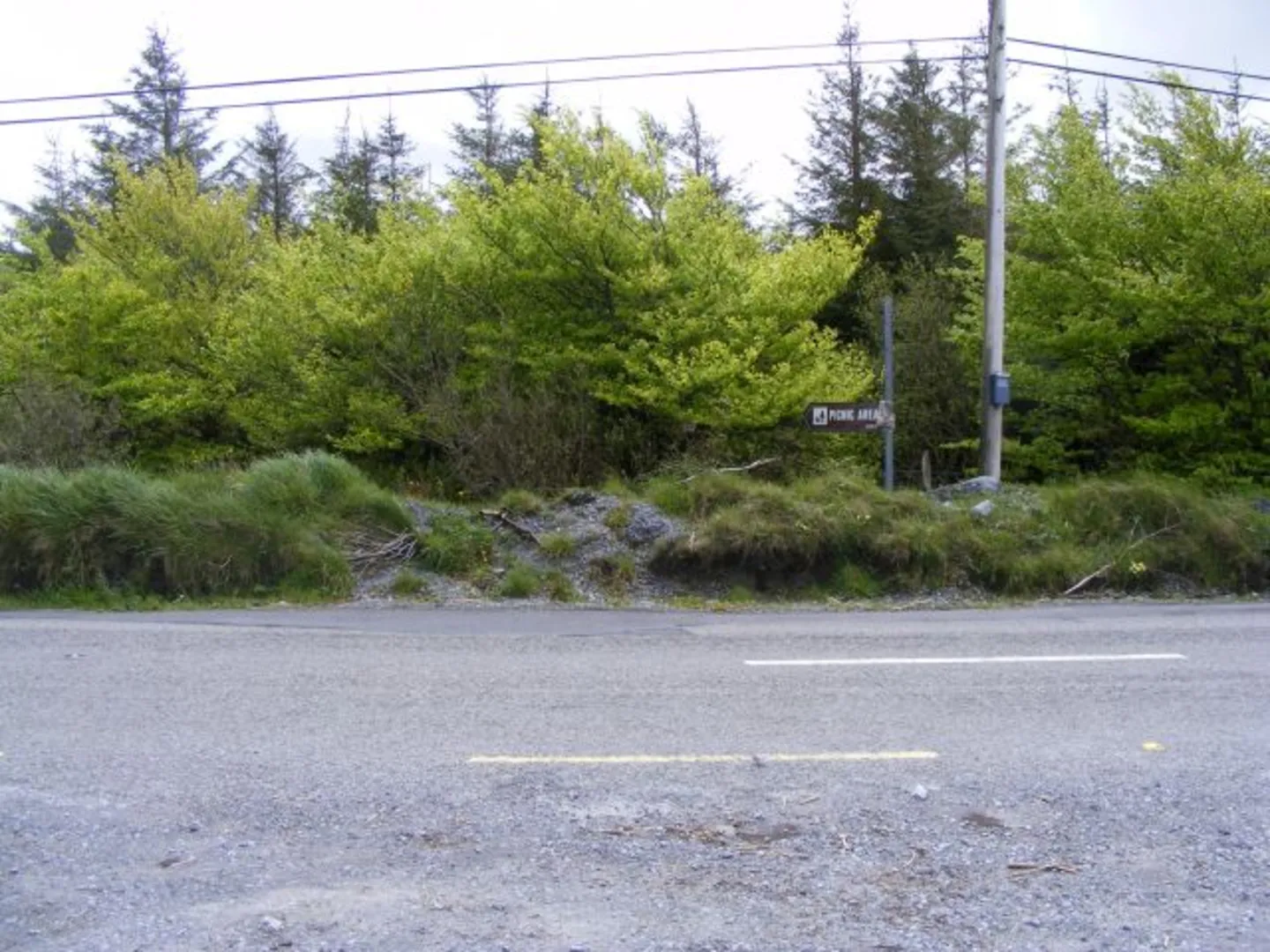 An image depicting the trail Gragans Wood and its surrounding area.