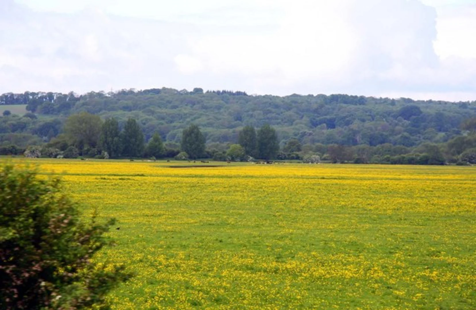 An image depicting the trail Oxford to Godstow Loop via Wolvercote Common and its surrounding area.