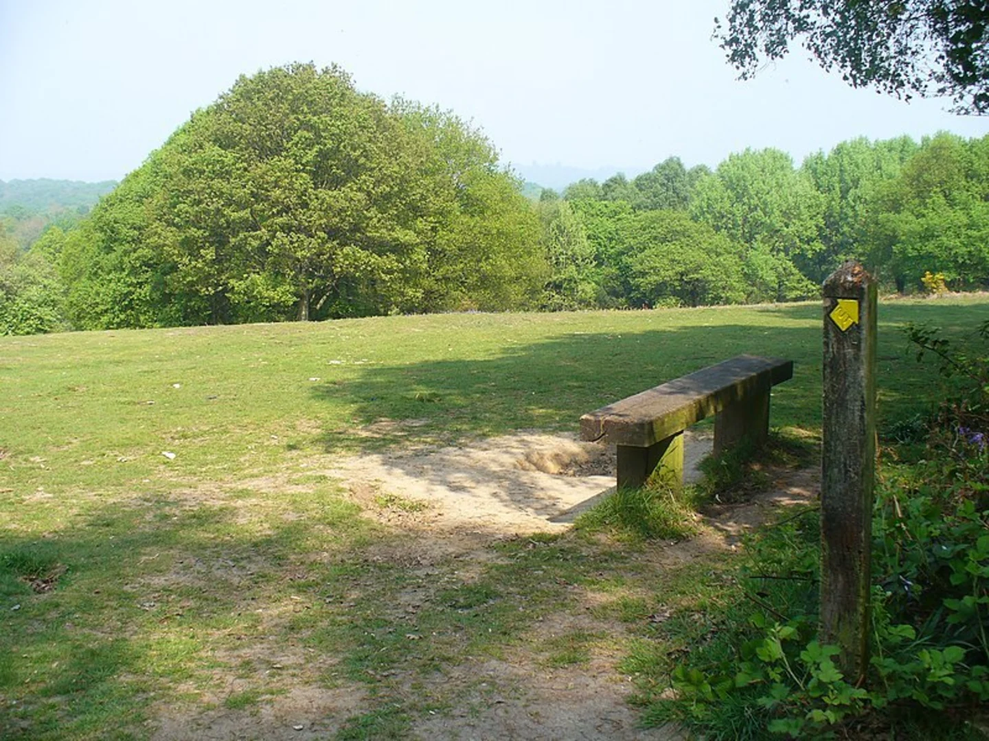 An image depicting the trail Holmwood Common Walk and its surrounding area.