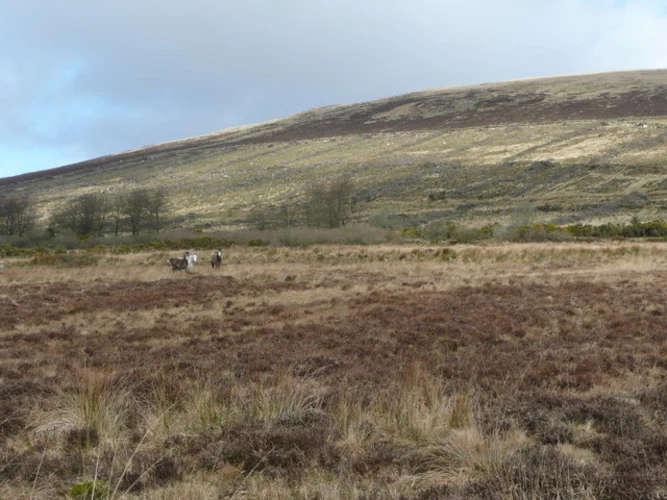Cloghernagh Mountain Loop from Ballinabarny Gap