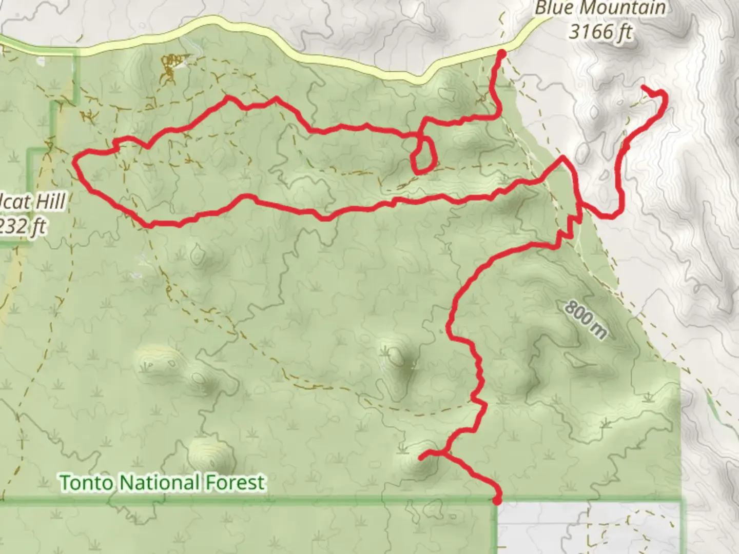 An image depicting the trail Camp Creek Walk and its surrounding area.