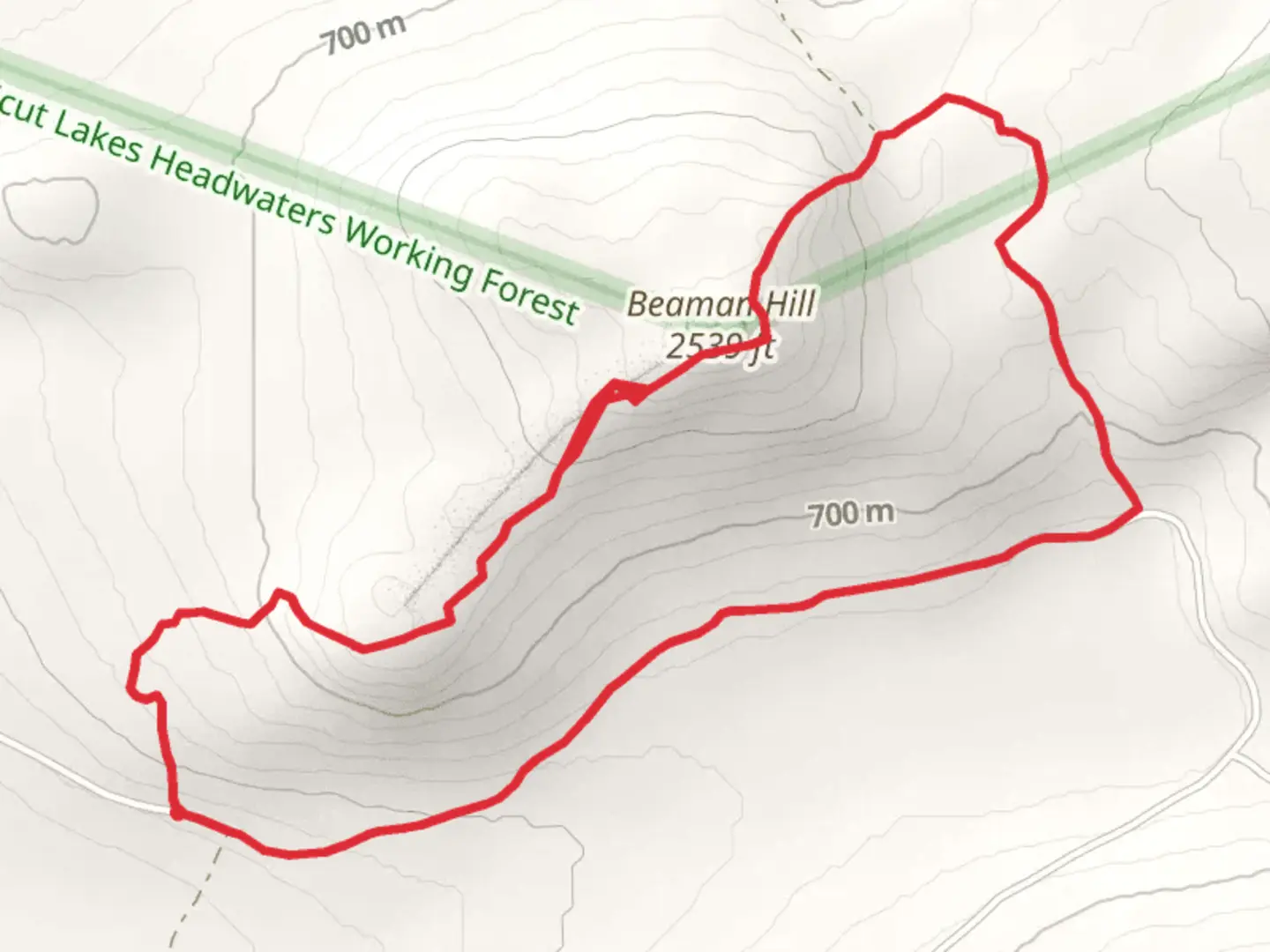 An image depicting the trail Beaman Hill Loop via Moose Brook Trail and its surrounding area.