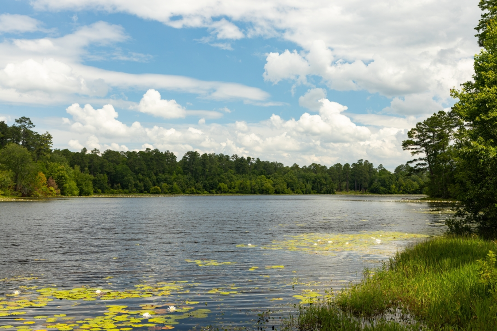 An image depicting the trail Magnolia Springs State Park Lake - Beaver Loop Trail and its surrounding area.