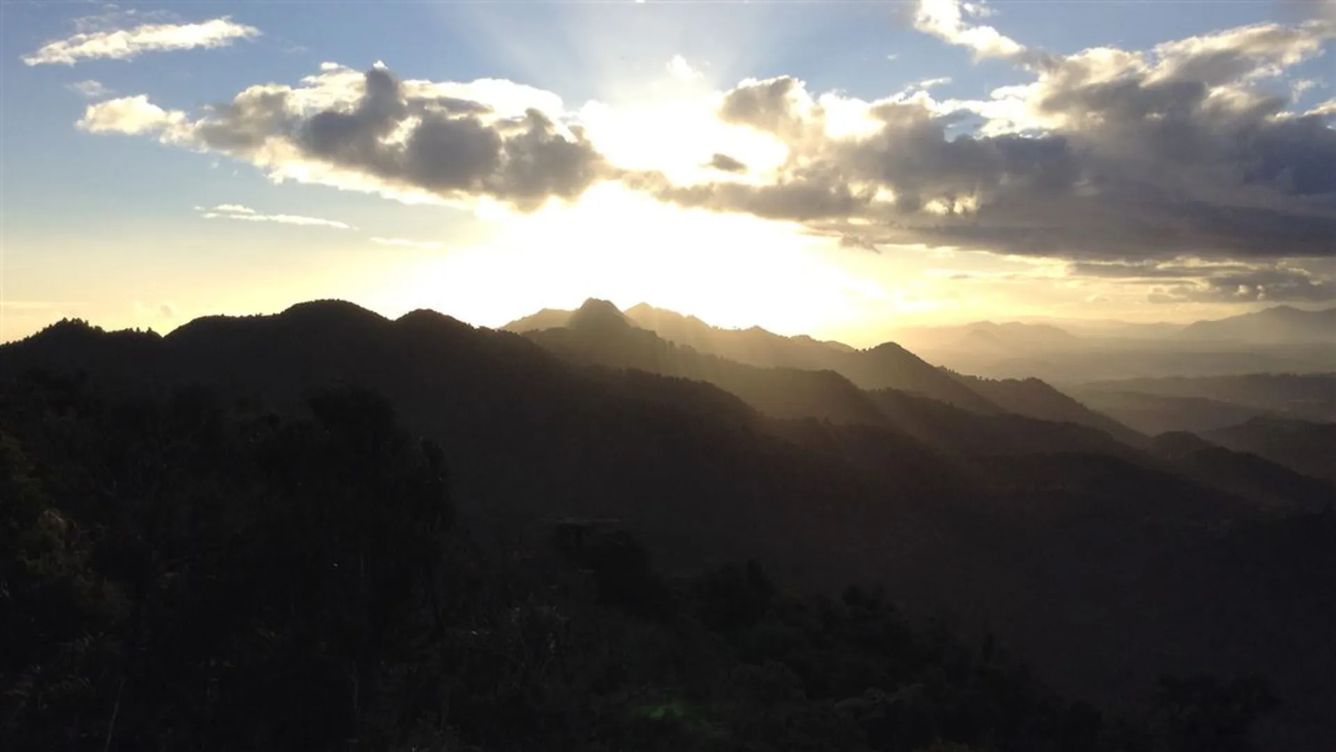 An image depicting the trail Northern Tangihua Track and its surrounding area.