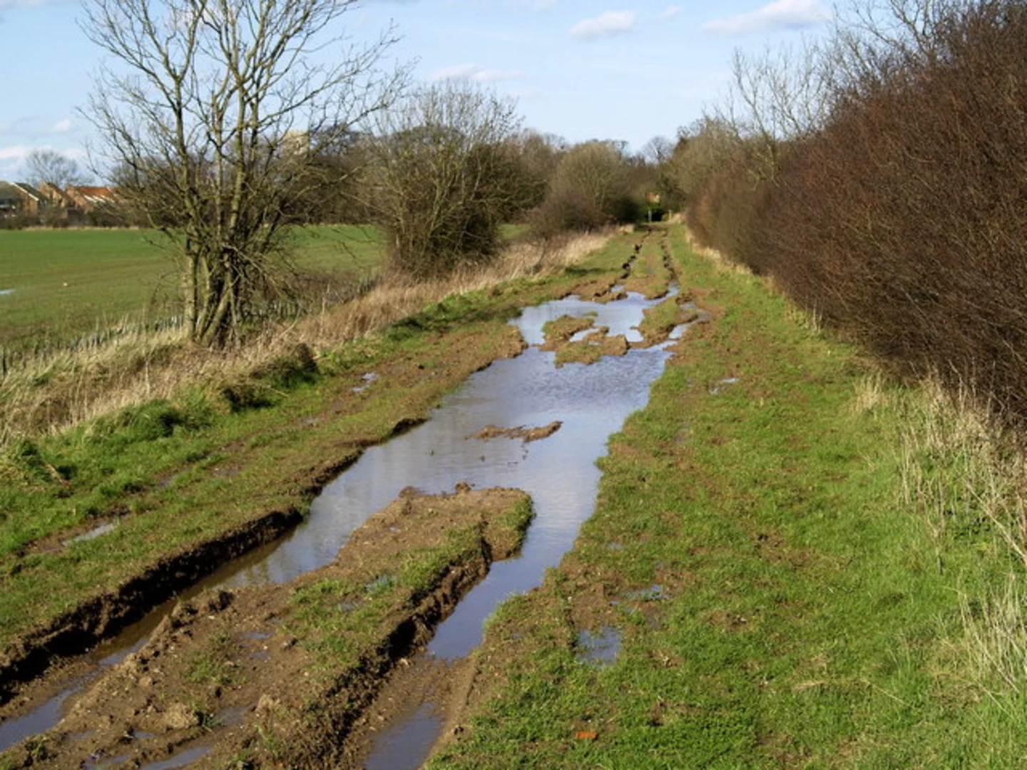 An image depicting the trail Burton Pidsea Country Park Loop and its surrounding area.