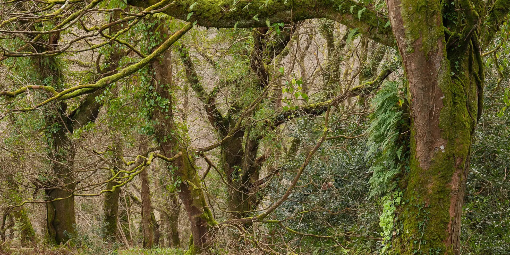An image depicting the trail Steart Farm - Hoops Inn and Worthygate Walk and its surrounding area.