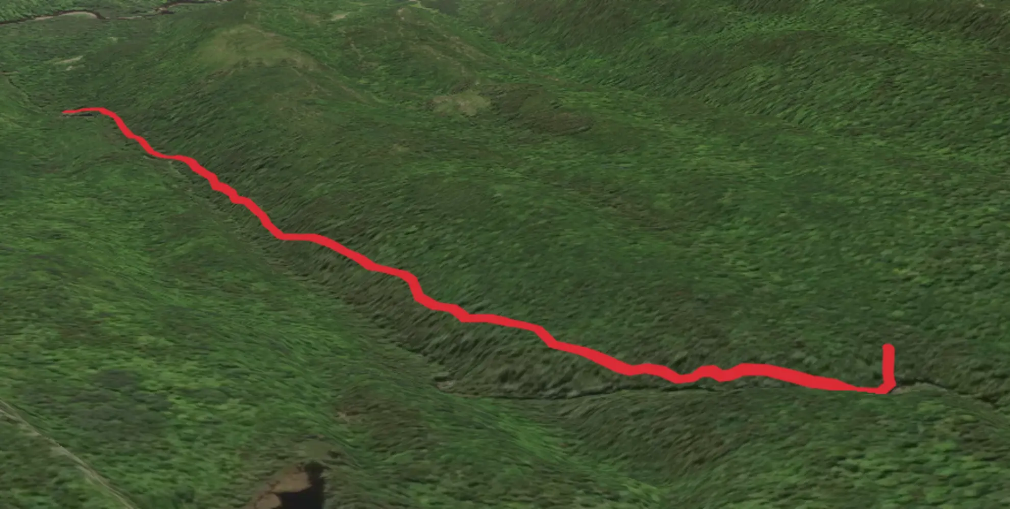 An image depicting the trail Lower Wilson Falls Trail and its surrounding area.