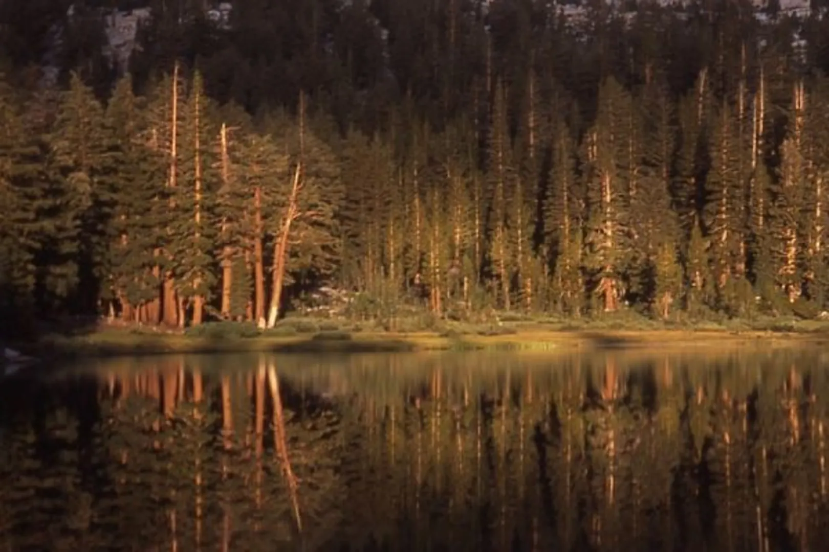 An image depicting the trail Timber Creek to Joe Crane Lake via Walton Trail and its surrounding area.