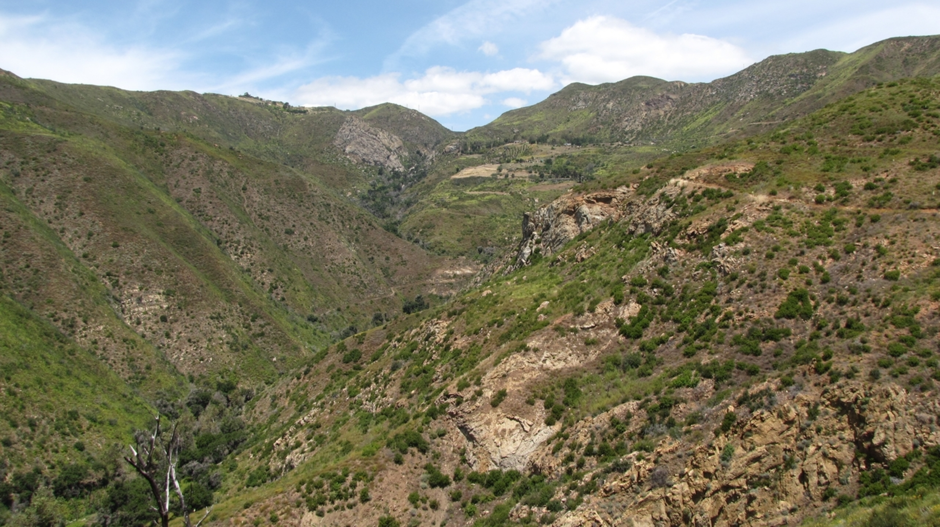 An image depicting the trail Solstice Canyon Trail and its surrounding area.
