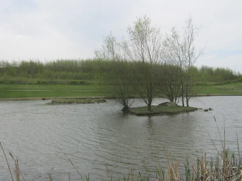 Herrington Country Park Loop