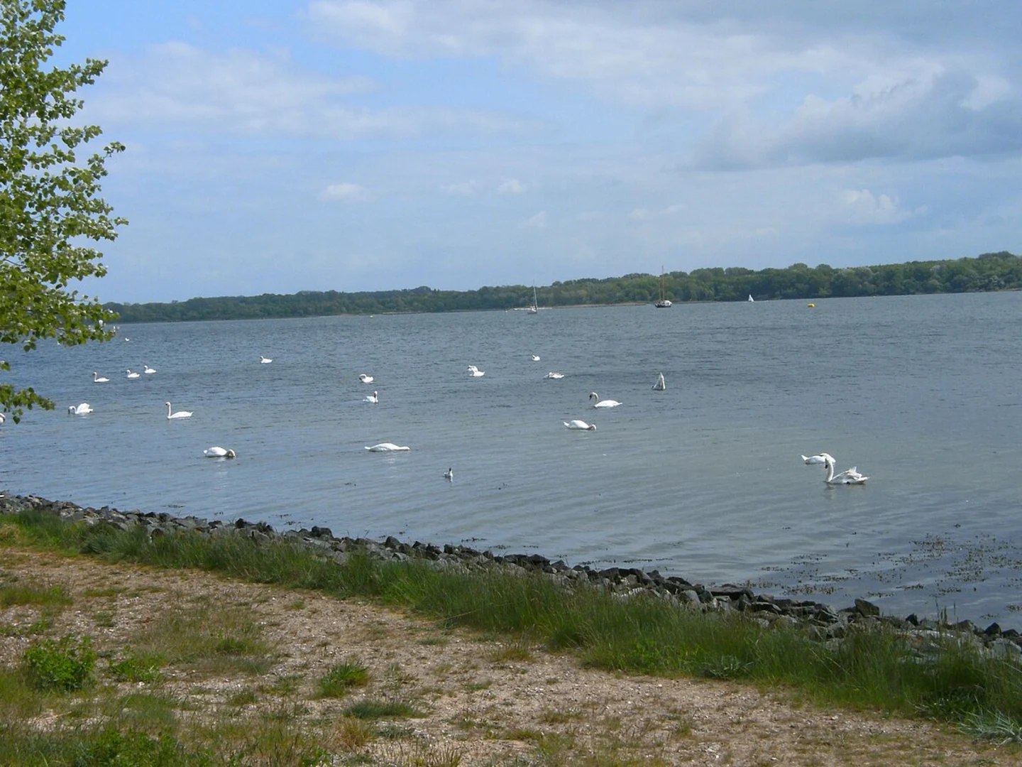 An image depicting the trail Pötenitzer Wiek via Dünenweg and Am Priwallhafen and its surrounding area.