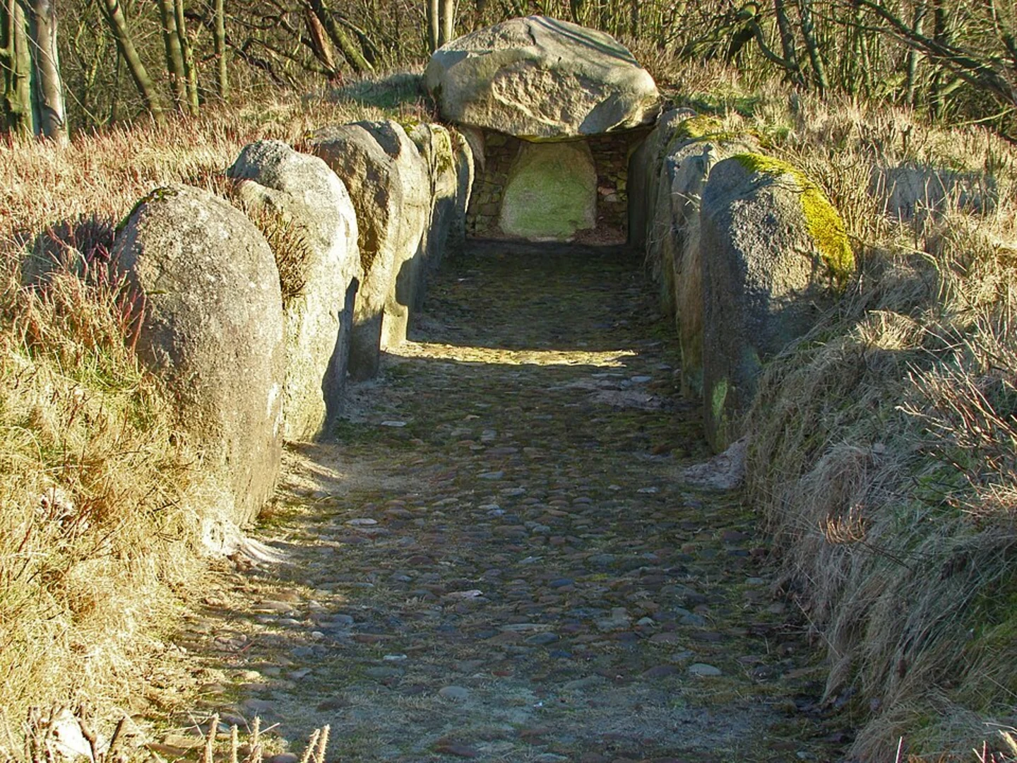 An image depicting the trail Breitscheider Hohlentour and Aussicht nach Erdbach Loop and its surrounding area.