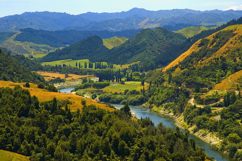 An image depicting the trail Whanganui National Park and its surrounding area.