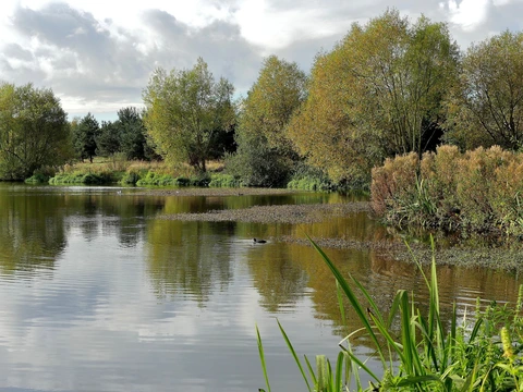 Churches Loop from Wath-on-Dearne