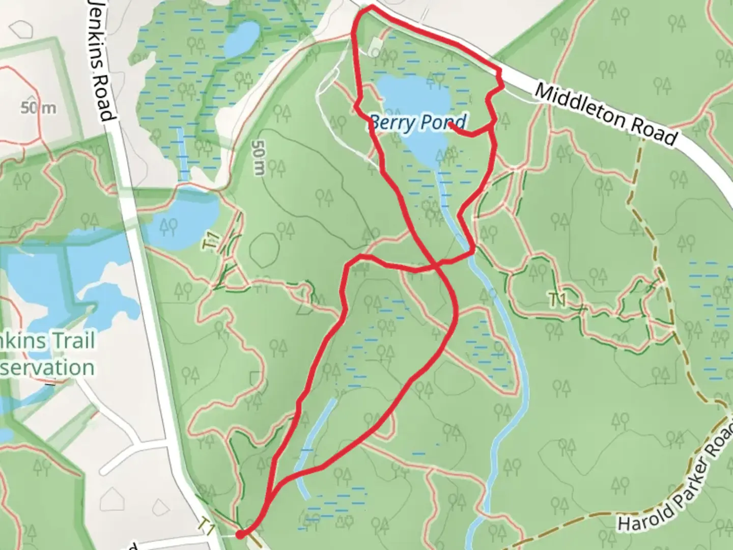 An image depicting the trail Berry Pond Loop Trail via Jenkins Road and its surrounding area.