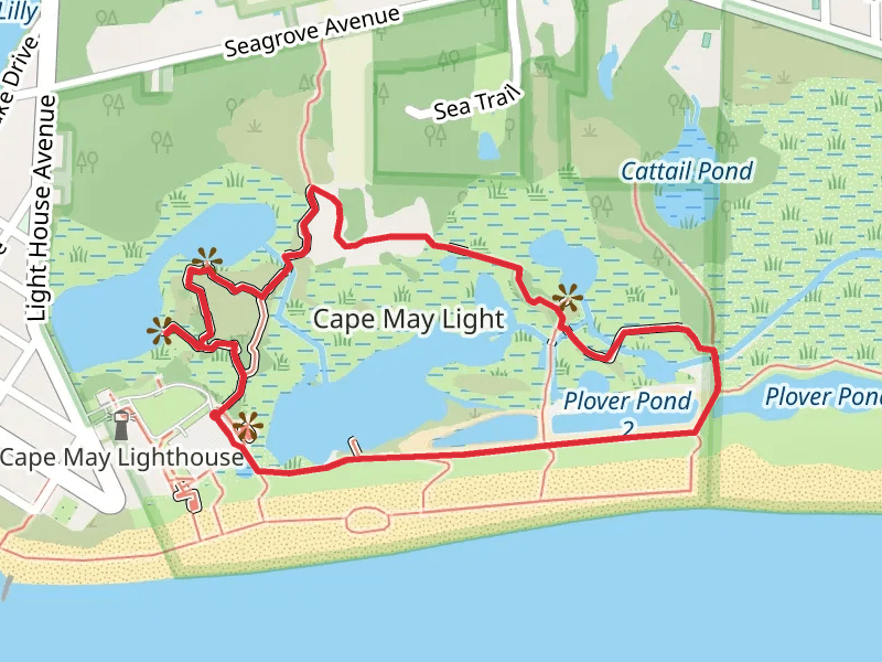 Shallow Pond Loop