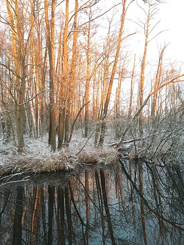 Sauna Ruine, Tegeler Fließ and Summter See Loop