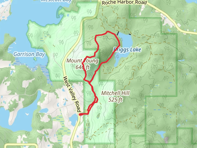 Mount Young and Briggs Lake Loop