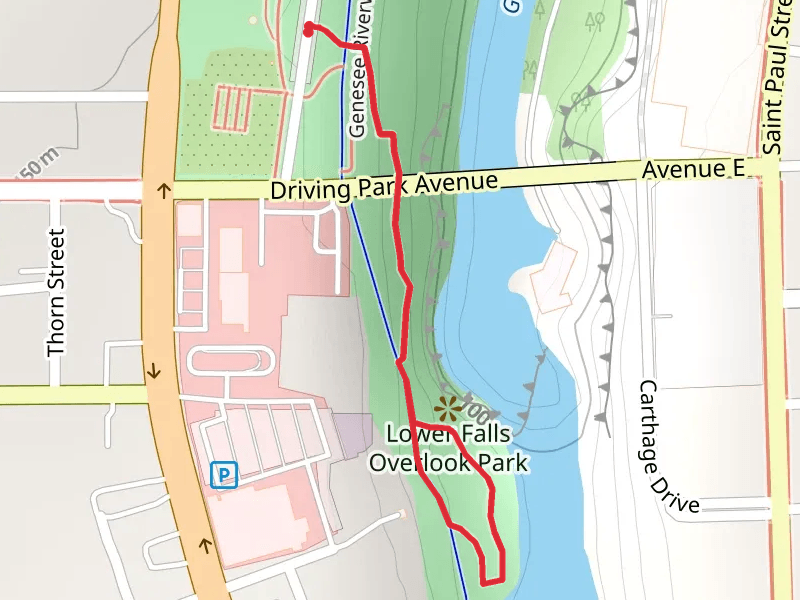 Lower Falls Loop