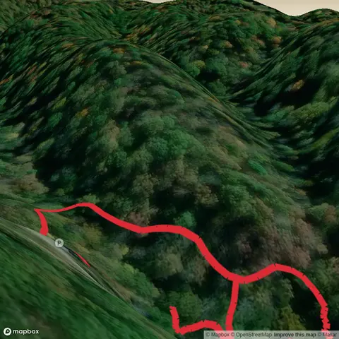 Fall Hollow Falls and Tributary Falls
