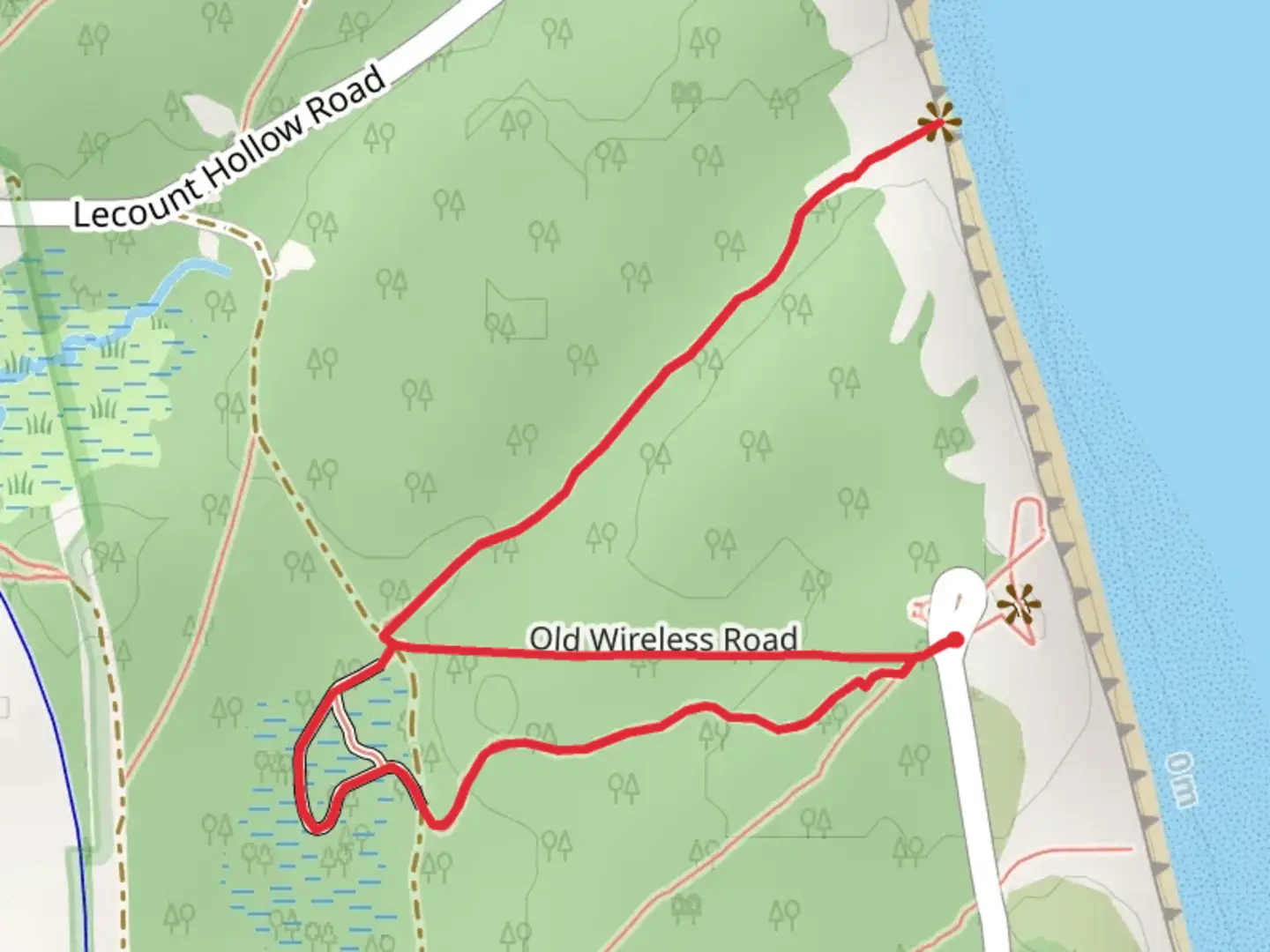 An image depicting the trail Atlantic White Cedar Swamp Trail - Marconi Station Road and its surrounding area.