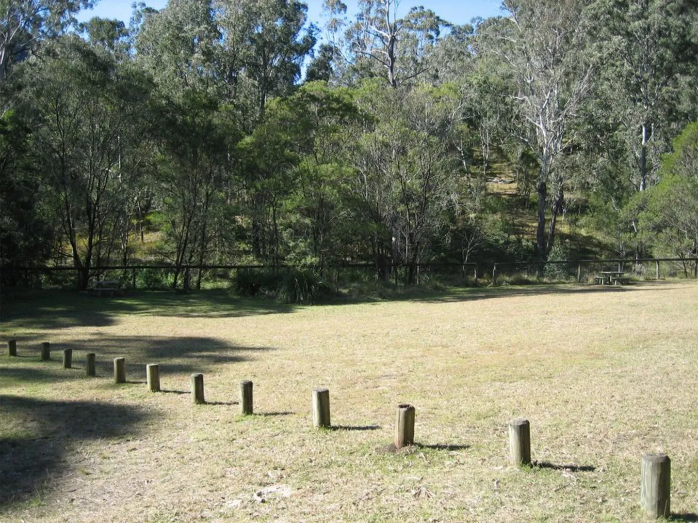 An image depicting the trail North Branch Track and its surrounding area.