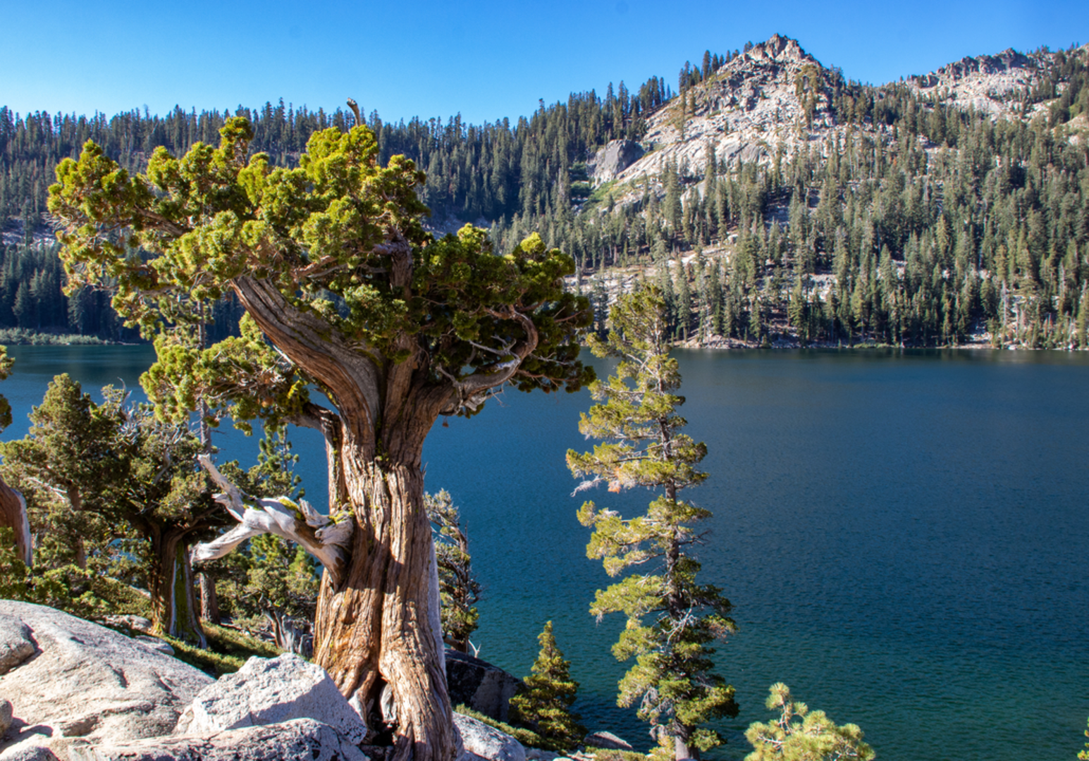 An image depicting the trail Echo Lakes and Margery Lake via PCT and its surrounding area.