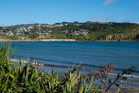 Titahi Bay Beach and Stuart Park