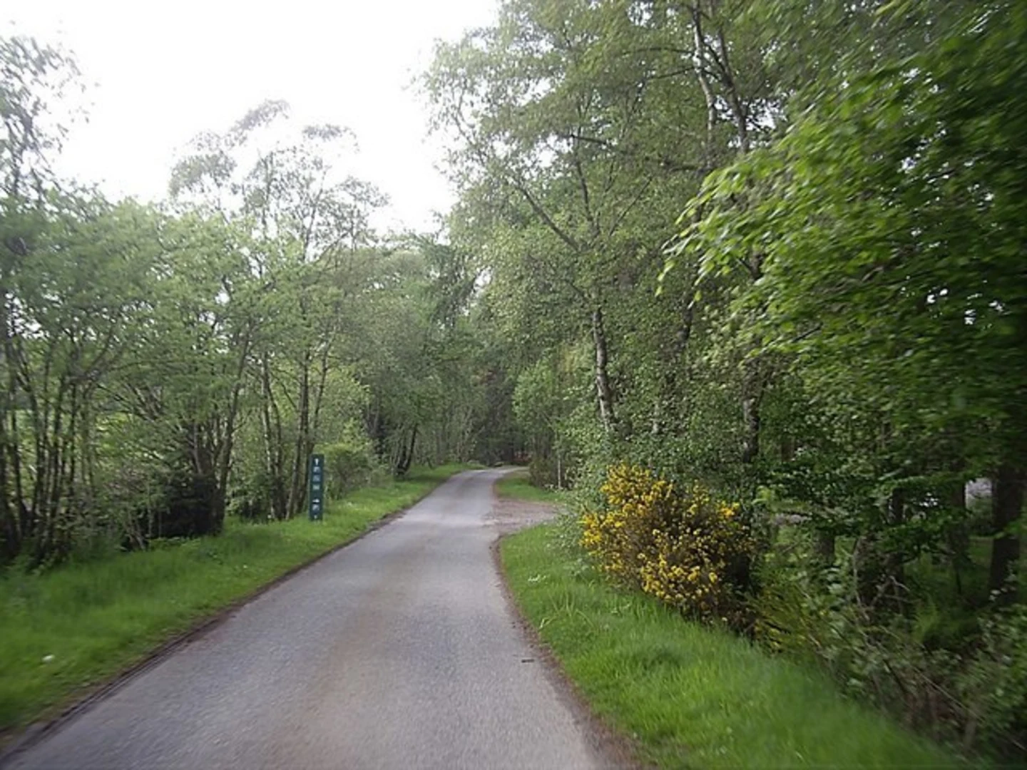 An image depicting the trail Colony Loop Trail via Bennachie Visitor Centre and its surrounding area.