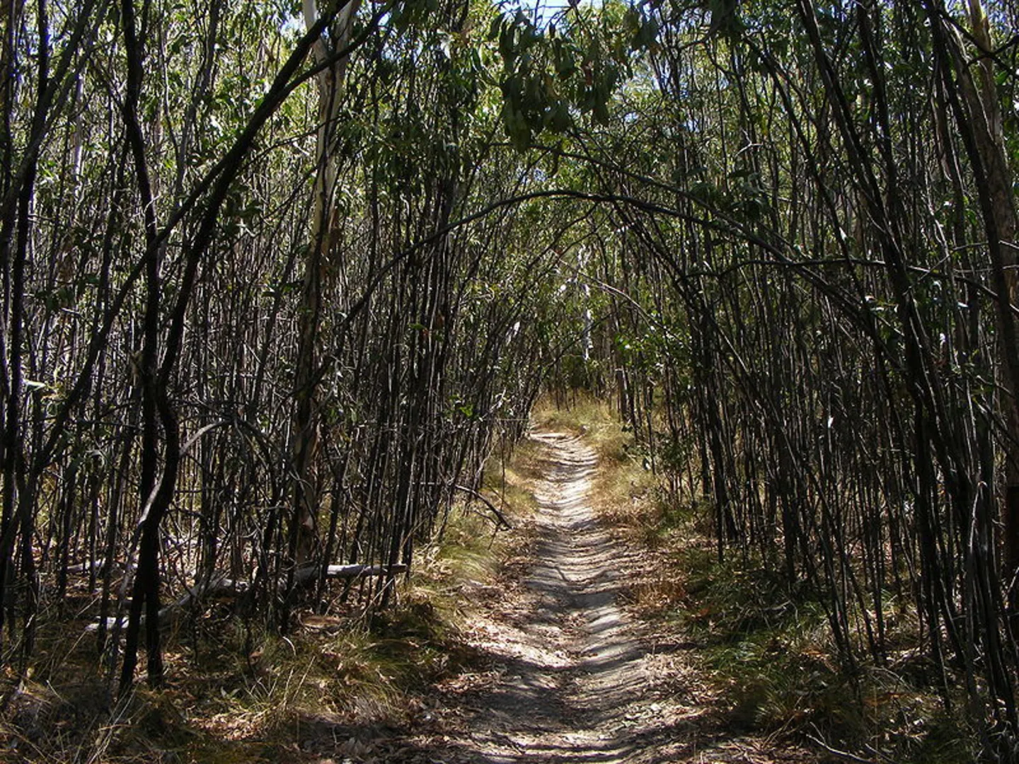 An image depicting the trail Totness Recreation Park - Southern Perimeter Loop Walk and its surrounding area.