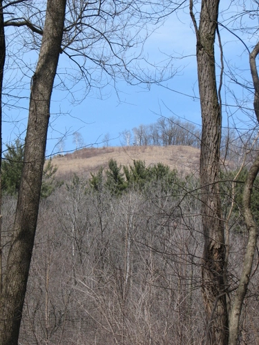 Rattlesnake Hill