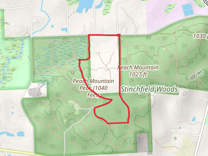 Stinchfield Woods Road Loop - South