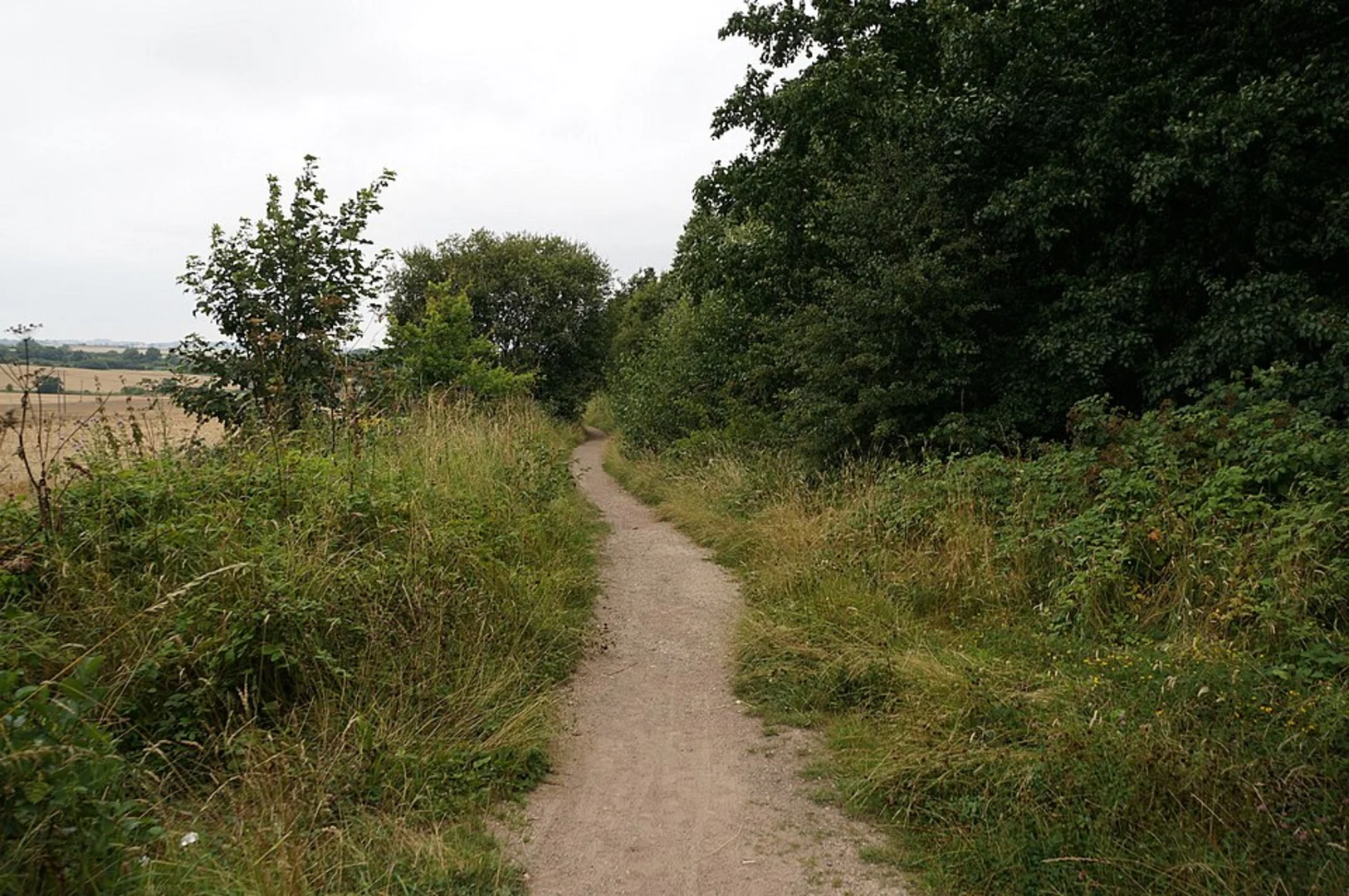 An image depicting the trail Kisdon Force and Birk Hill Loop from Muker and its surrounding area.