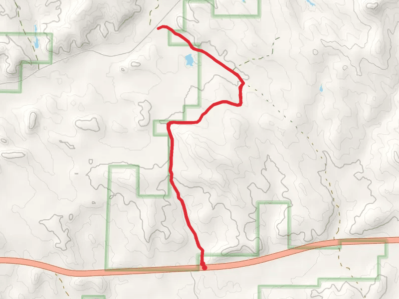 Coalmine Trail