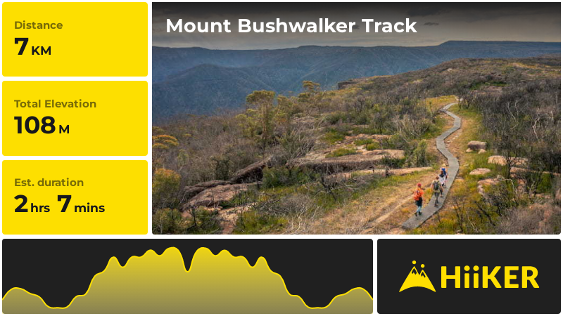 Mount Bushwalker Track | Shoalhaven City | New South Wales