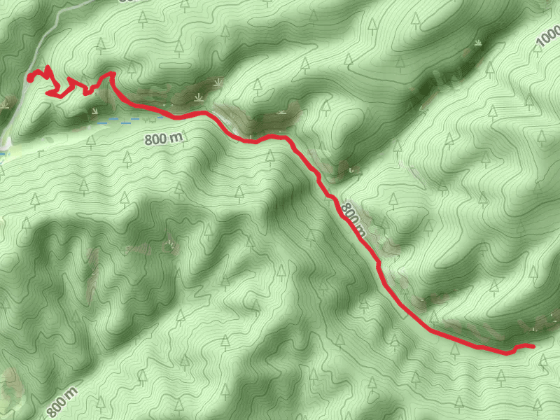 Marie Creek Trail