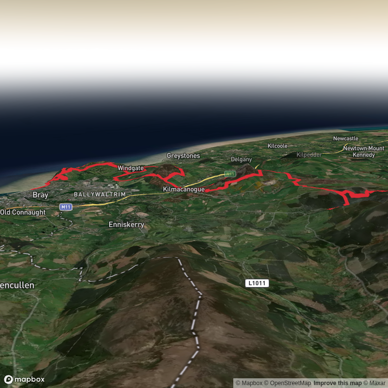 Eco Trail Wicklow 46km