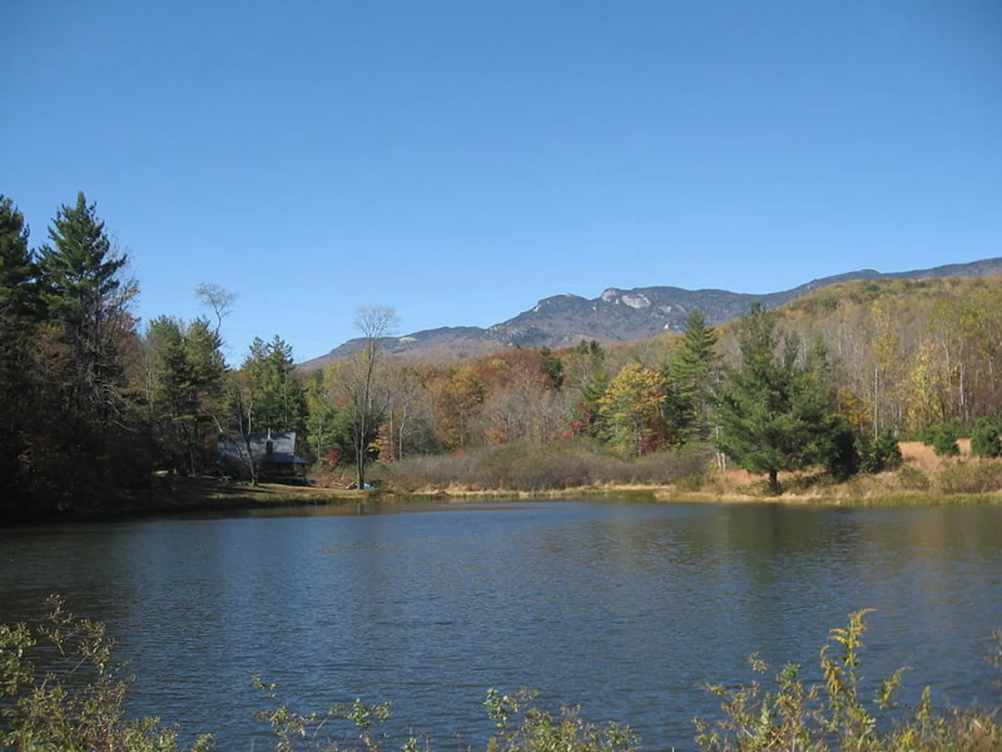 An image depicting the trail Bill Crump Trail and its surrounding area.