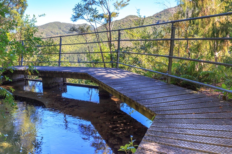 Pupu Hydro Walkway