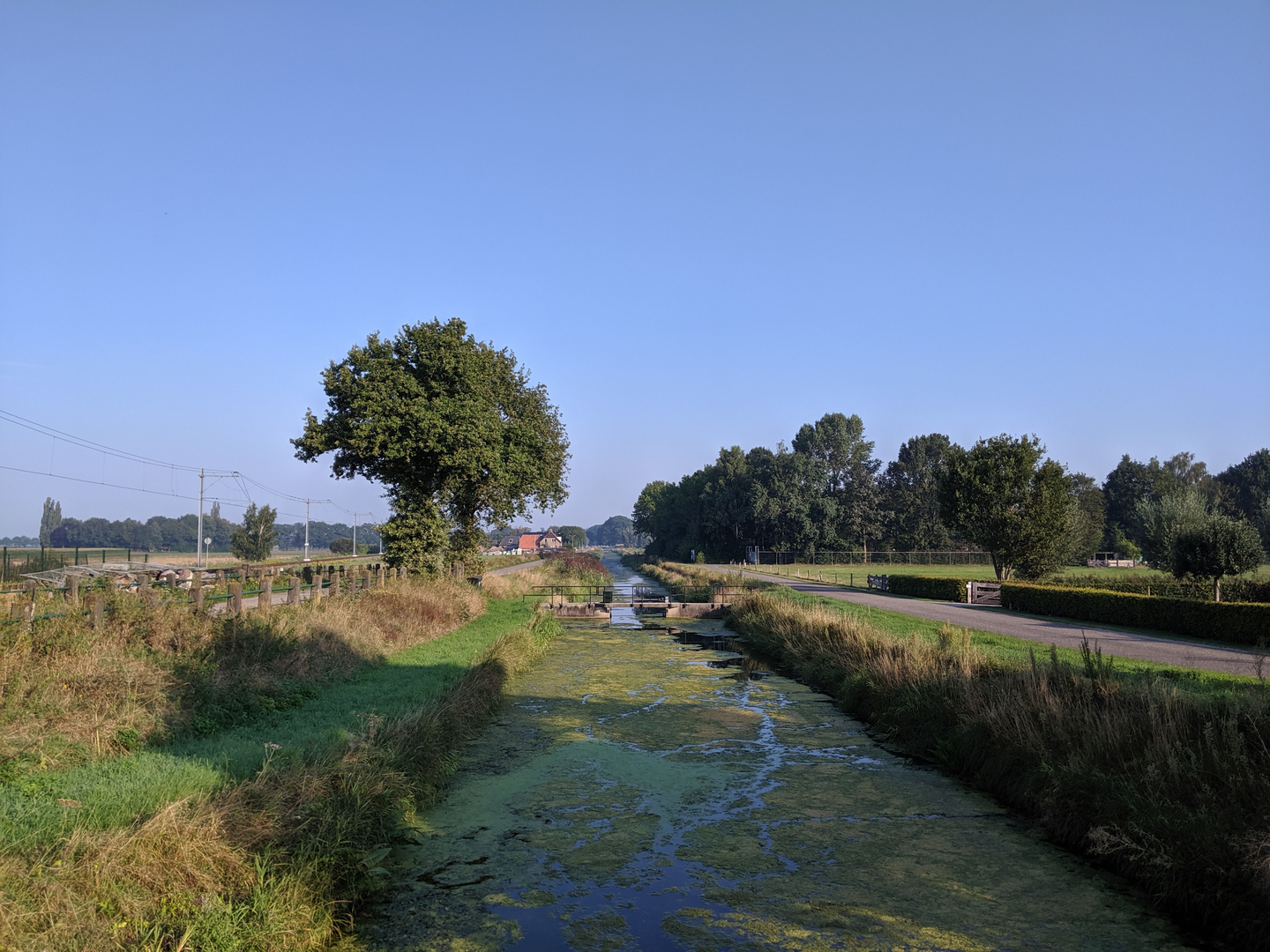 An image depicting the trail Vlaminckhorst and Raalterwoold Loop and its surrounding area.