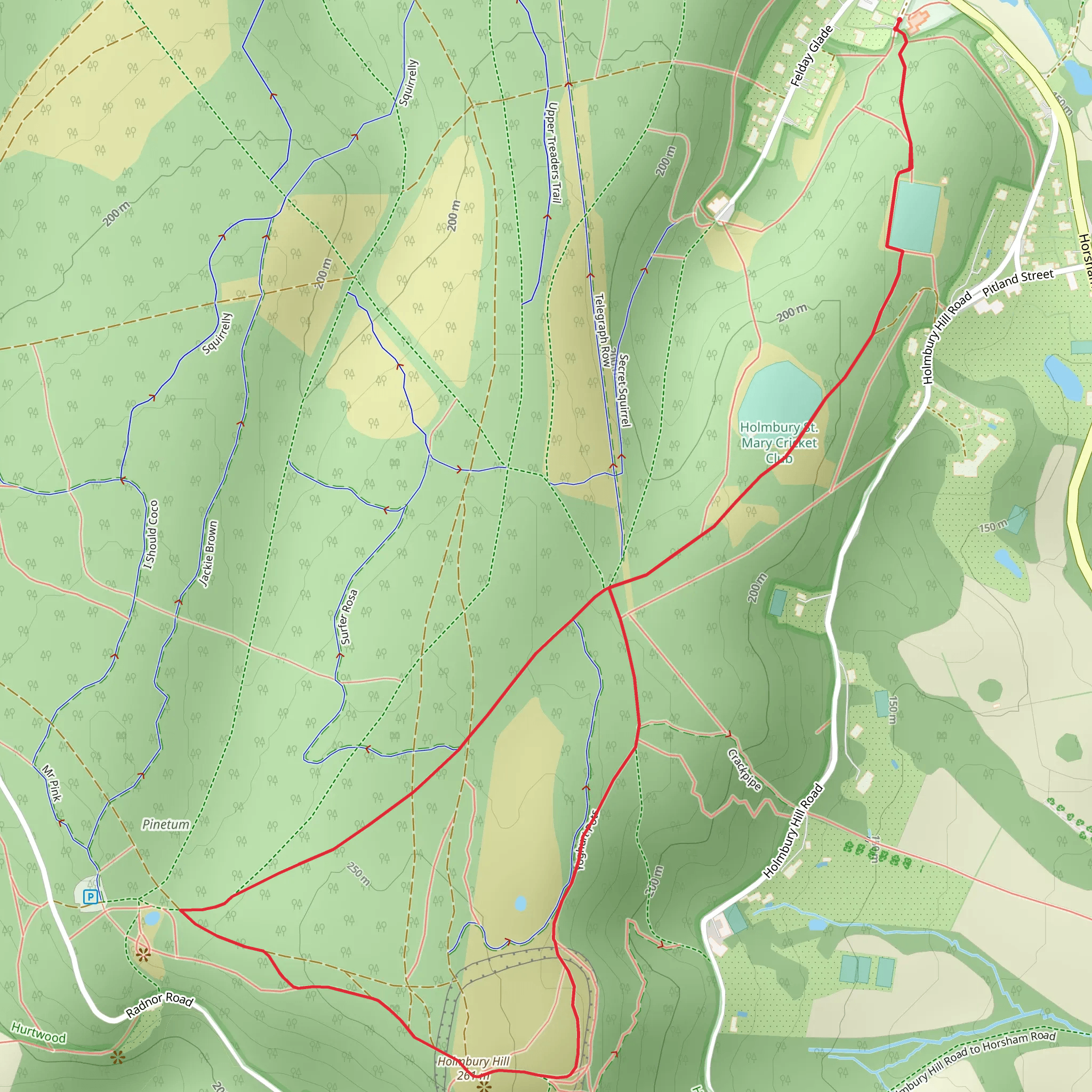 Holmbury Hill Loop mobile static map