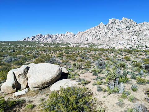Granite Peak Trail