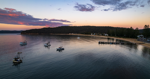 Wondabyne to Patonga Track