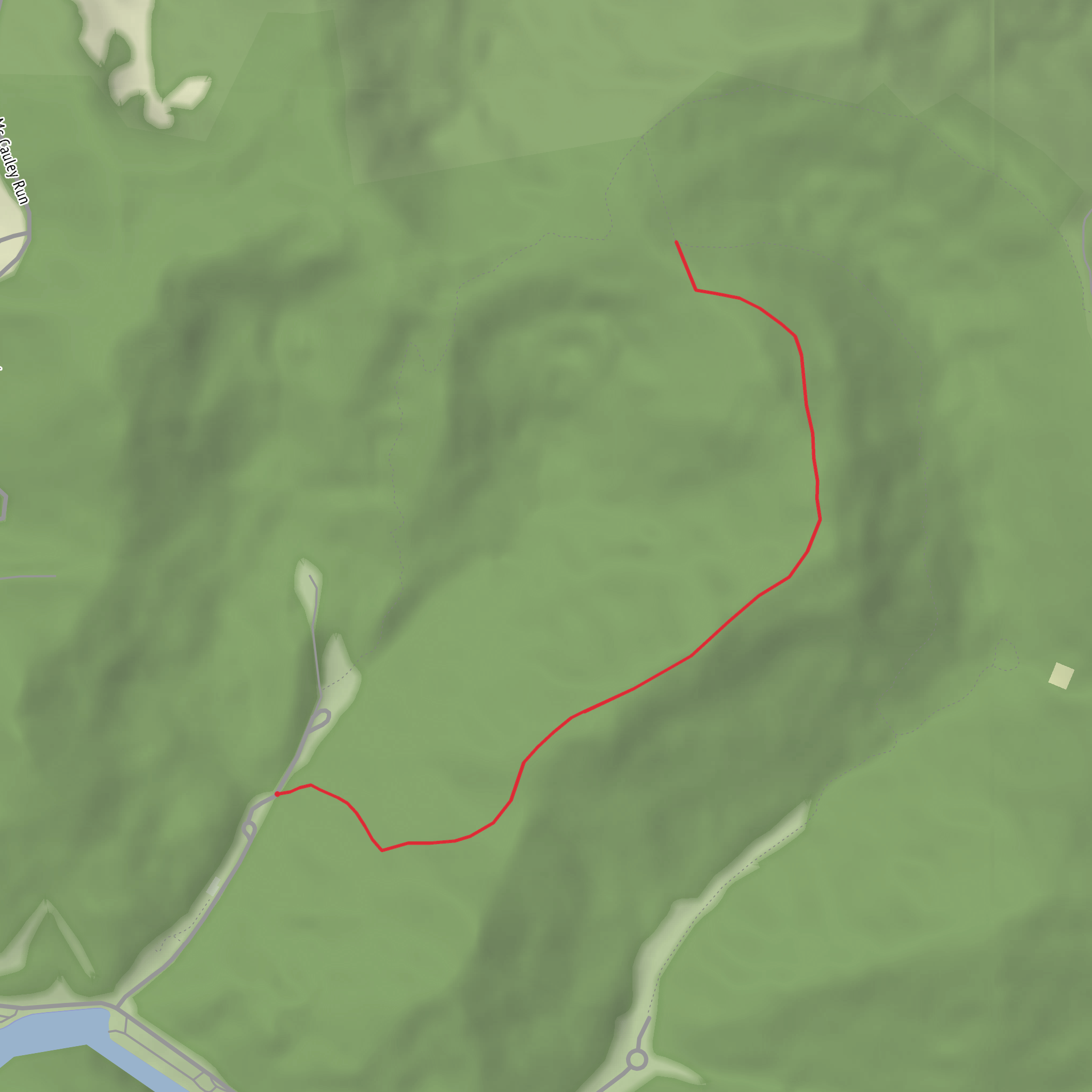 Riffle Run Camp Access Trail mobile static map
