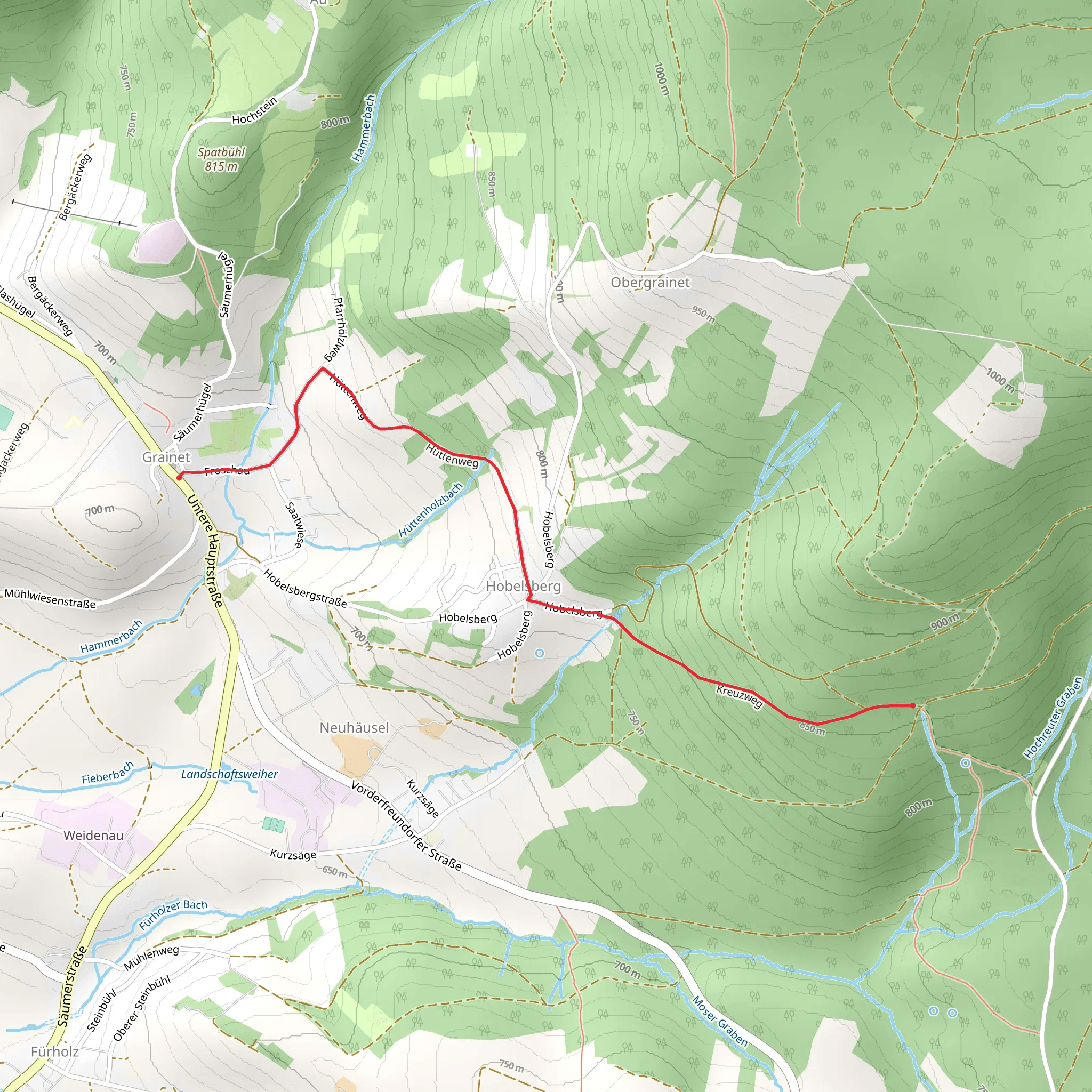 Grainet to Kohlstattbrunn Walk mobile static map