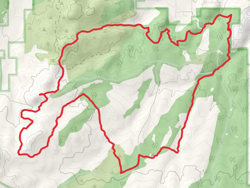 Los Caballos Loop Trail from Joe Tank Road