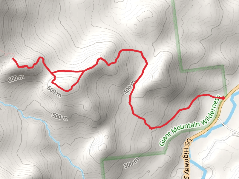 Blueberry Cobbles Bypass Trail