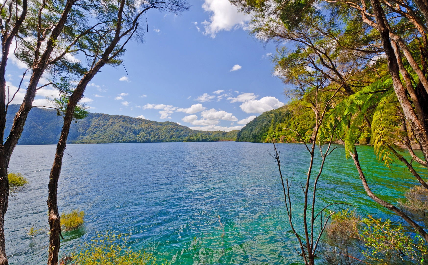An image depicting the trail Eastern Okataina Walkway and its surrounding area.